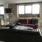 Le Loft De L Ancienne Forge Apartment *