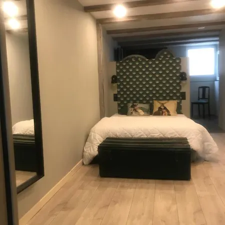 Apartamento Le Loft De L Ancienne Forge *